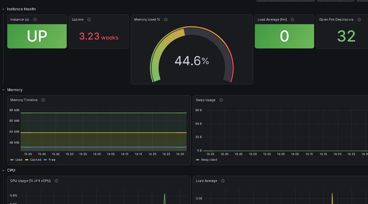 Instance health dashboard: uptime, memory, load and CPU.